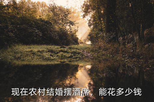 安陽喜酒多少錢一桌,一桌要多少錢