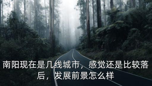 南陽現在是幾線城市，感覺還是比較落后，發展前景怎么樣