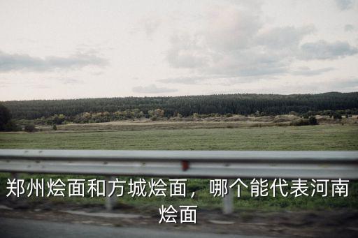 鄭州燴面和方城燴面，哪個能代表河南燴面