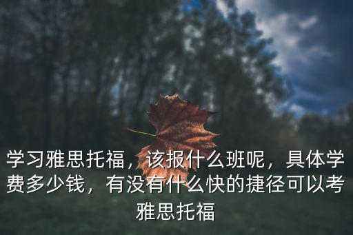鄭州托福培訓(xùn)班學(xué)費(fèi)一般多少錢,具體學(xué)費(fèi)多少錢
