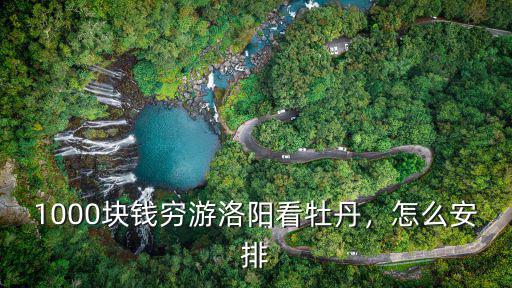 洛陽綠牡丹多少錢一棵,菏澤牡丹和洛陽牡丹誰是第一