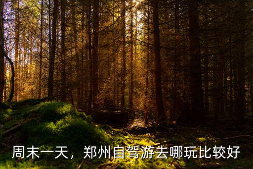 周末一天，鄭州自駕游去哪玩比較好