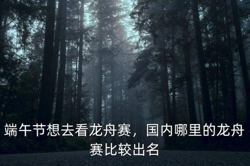 漯河賽龍舟直播在哪里看,端午節(jié)想去看龍舟賽