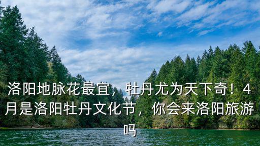 洛陽地脈花最宜，牡丹尤為天下奇！4月是洛陽牡丹文化節，你會來洛陽旅游嗎