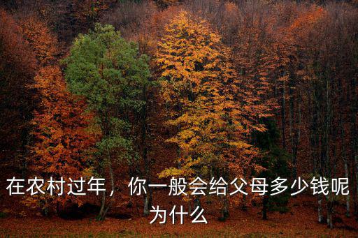 在農村過年，你一般會給父母多少錢呢為什么