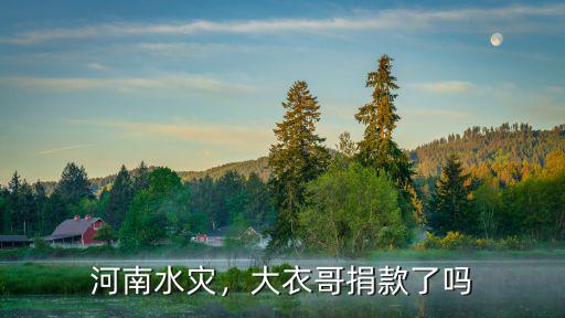 河南水災，大衣哥捐款了嗎