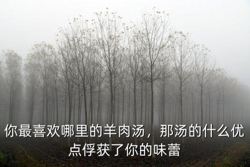 你最喜歡哪里的羊肉湯，那湯的什么優點俘獲了你的味蕾