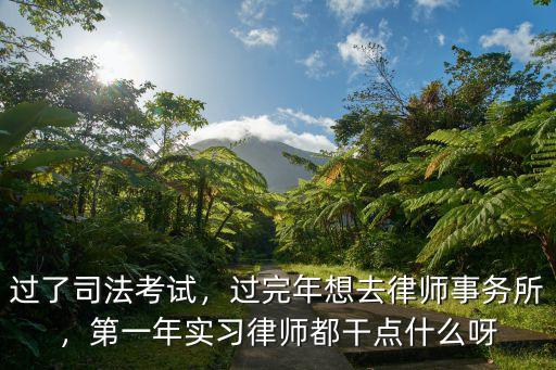 過了司法考試，過完年想去律師事務(wù)所，第一年實(shí)習(xí)律師都干點(diǎn)什么呀