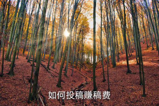 許昌小記者稿費(fèi)怎么領(lǐng),怎么才能聯(lián)系到記者