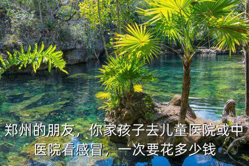 鄭州的朋友，你家孩子去兒童醫(yī)院或中醫(yī)院看感冒，一次要花多少錢