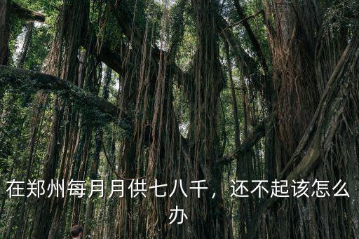 在鄭州每月月供七八千，還不起該怎么辦