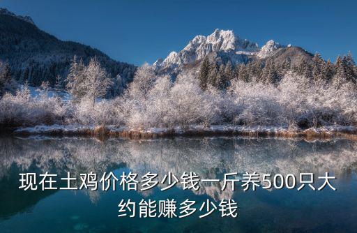 現(xiàn)在土雞價(jià)格多少錢(qián)一斤養(yǎng)500只大約能賺多少錢(qián)