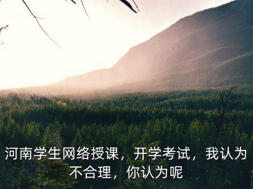 河南學生網絡授課，開學考試，我認為不合理，你認為呢