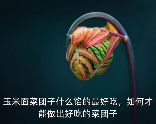 河南的菜團(tuán)子怎么做了,冬至團(tuán)子怎么做