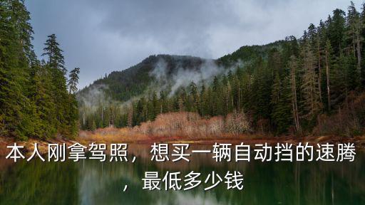 信陽買速騰多少錢一輛,買一輛大眾速騰中配