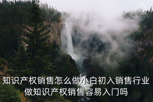 知識產權銷售怎么做小白初入銷售行業做知識產權銷售容易入門嗎