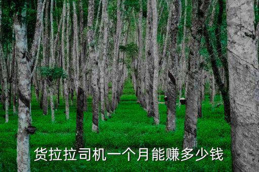 貨拉拉司機一個月能賺多少錢