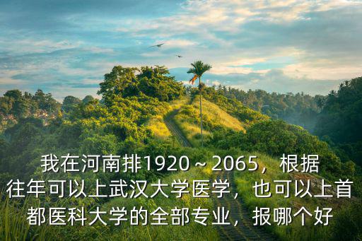 河南理科生多少分能上武漢大學,河南應屆考生報考武漢大學