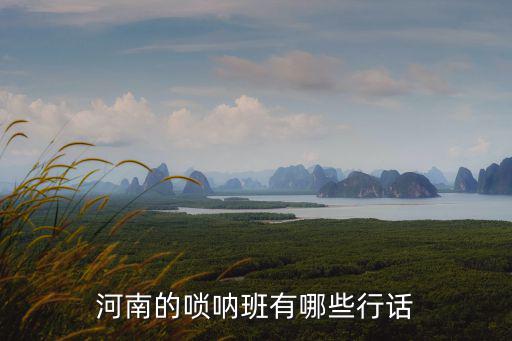 安陽(yáng)有哪里教吹嗩吶的,河南的嗩吶班有哪些行話(huà)