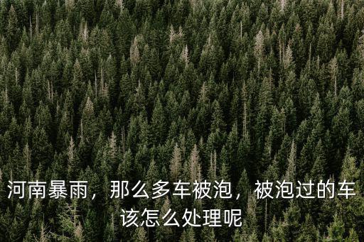 河南暴雨，那么多車被泡，被泡過的車該怎么處理呢