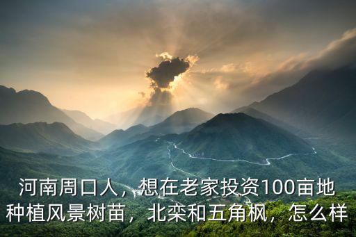 河南周口人，想在老家投資100畝地種植風景樹苗，北欒和五角楓，怎么樣