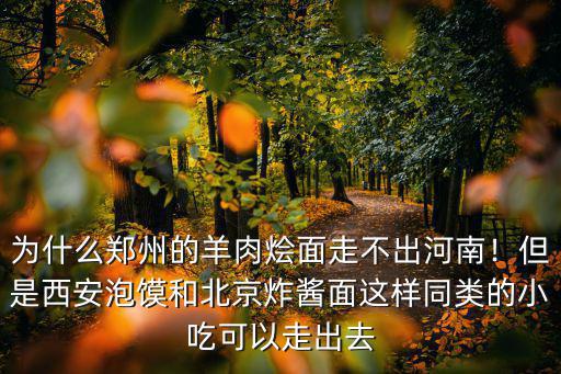 西安哪里有賣河南燴面片的,河南燴面是哪里流傳過來的