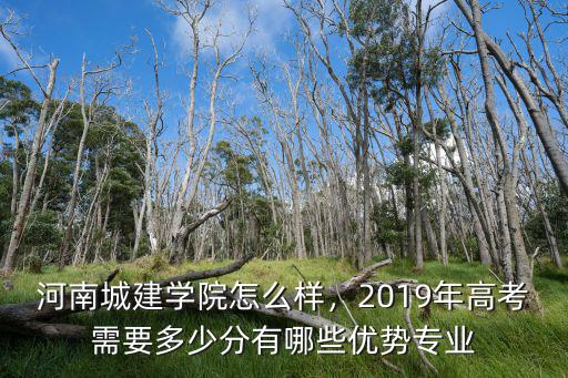 河南城建學(xué)院怎么樣，2019年高考需要多少分有哪些優(yōu)勢(shì)專(zhuān)業(yè)