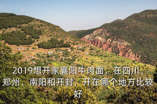 南陽(yáng)在哪里開(kāi)拉面生意好,開(kāi)拉面店前景如何
