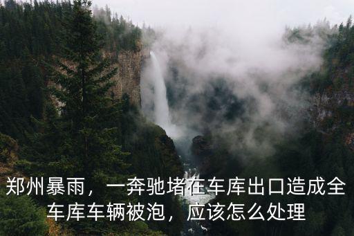 鄭州暴雨車牌怎么找,鄭州暴雨過后