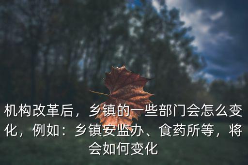 河南鄉(xiāng)鎮(zhèn)綜治辦怎么改革,鄉(xiāng)鎮(zhèn)綜治辦如何改革