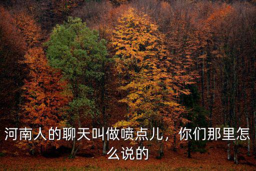 河南人的聊天叫做噴點兒，你們那里怎么說的