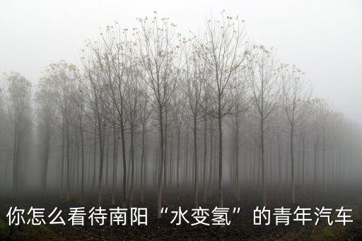 你怎么看待南陽“水變氫”的青年汽車