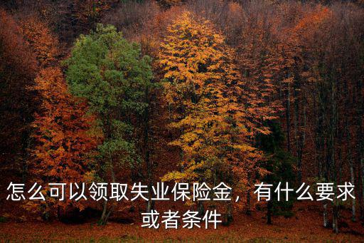 怎么可以領取失業保險金，有什么要求或者條件
