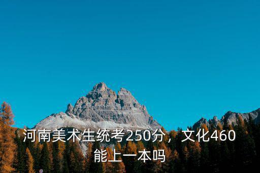 河南美術生統考250分，文化460能上一本嗎