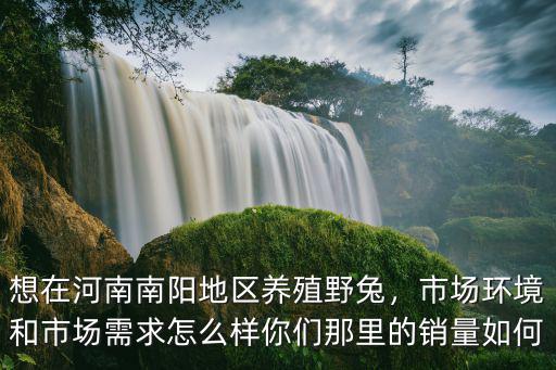 想在河南南陽地區養殖野兔，市場環境和市場需求怎么樣你們那里的銷量如何