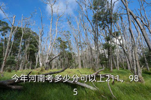 河南本科生一年多少人,河南一本線估計會多少
