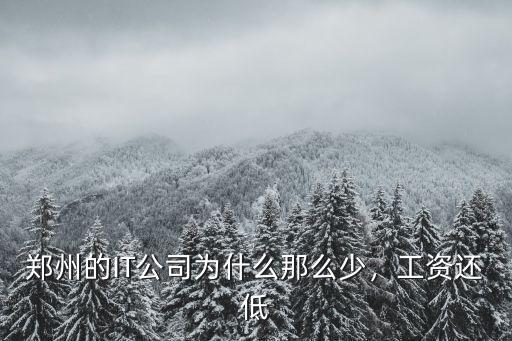 鄭州的IT公司為什么那么少，工資還低