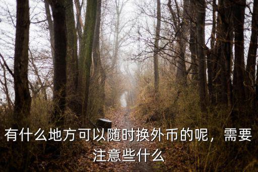 有什么地方可以隨時(shí)換外幣的呢，需要注意些什么