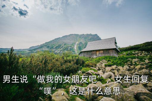 男生說“做我的女朋友吧”，女生回復“噗”，這是什么意思