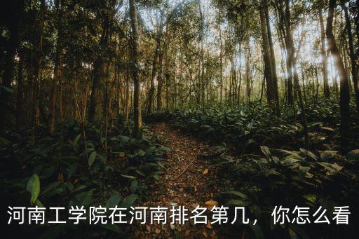 河南工學院在河南排名第幾，你怎么看