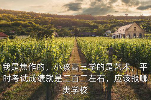 我是焦作的，小孩高三學的是藝術，平時考試成績就是三百二左右，應該報哪類學校