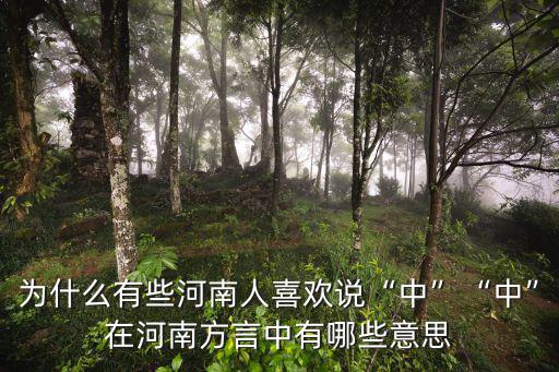 河南人問好的方言怎么說,你們那里怎么說的