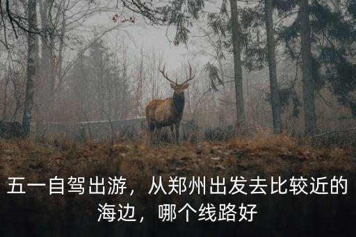 五一自駕出游，從鄭州出發去比較近的海邊，哪個線路好