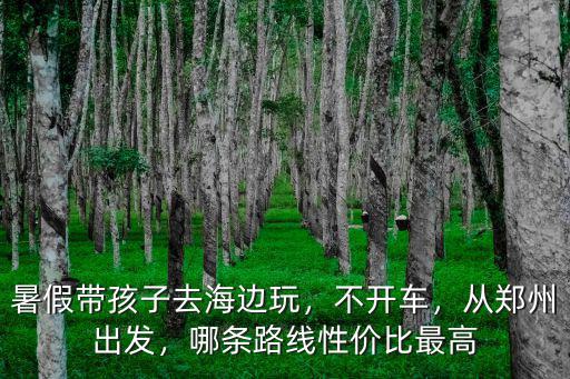 暑假在鄭州怎么玩,暑假想去鄭州方特玩