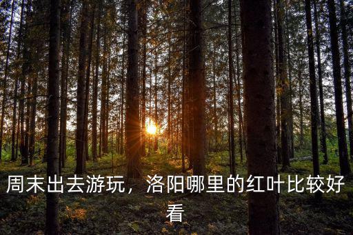 洛陽市區(qū)紅葉的地方在哪里,洛陽哪里的紅葉比較好看