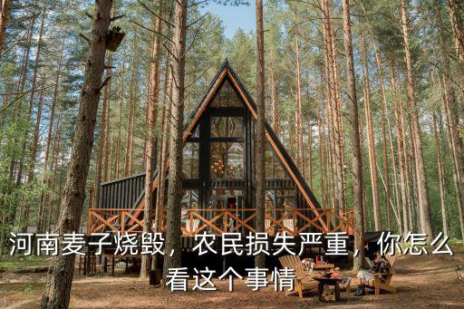 河南麥子燒毀，農(nóng)民損失嚴(yán)重，你怎么看這個事情