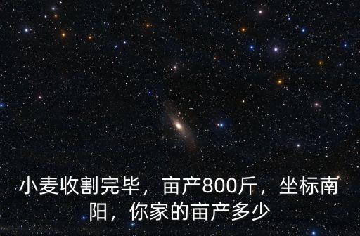 小麥收割完畢，畝產800斤，坐標南陽，你家的畝產多少