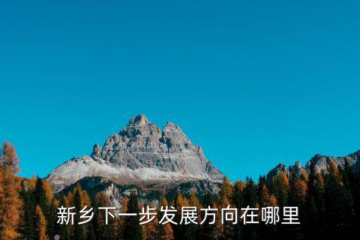 新鄉下一步發展方向在哪里