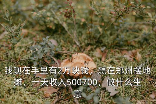 我現在手里有2萬塊錢，想在鄭州擺地攤，一天收入500700，做什么生意