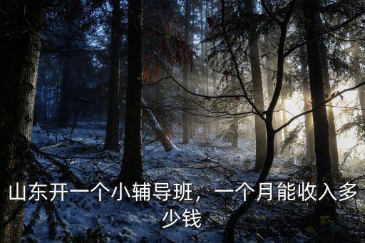 開封輔導班一個小時多少錢,辦輔導班能賺多少錢